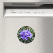 紫の花磁石 マグネット (インサイチュ (食洗機))