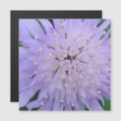 紫の花 (正面/裏面)
