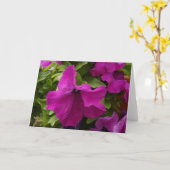 紫の花 カード (黄色い花)