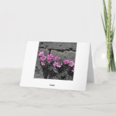 紫の花 カード (裏面)