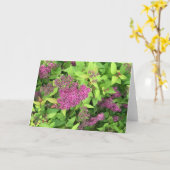 紫の花 カード (黄色い花)