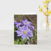 紫の花 カード (黄色い花)