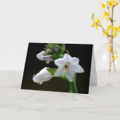 紫の花 カード (黄色い花)