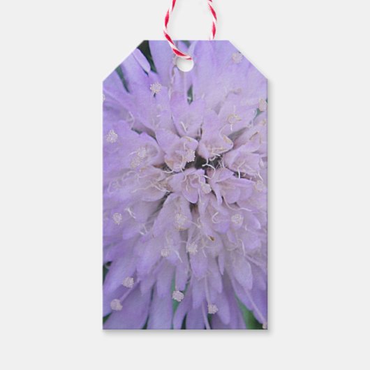 紫の花 ギフトタグ (正面)