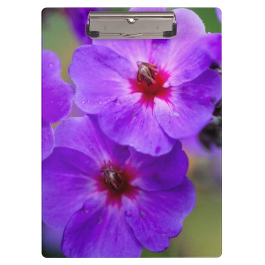 紫の花 クリップボード (正面)
