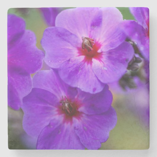 紫の花 ストーンコースター (正面)