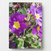 紫の花 フォトプラーク (正面)