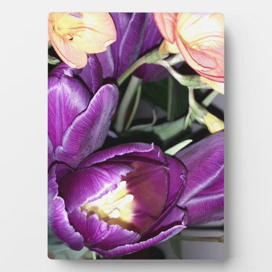 紫の花 フォトプラーク (正面)