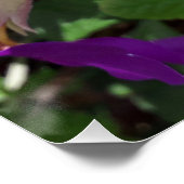 紫の花 ポスター (コーナー)