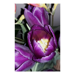 紫の花 ポスター