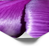 紫の花 ポスター (コーナー)