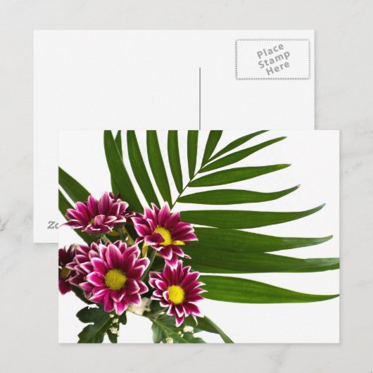 紫の花 ポストカード (正面/裏面)