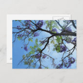 紫の花 ポストカード (正面/裏面)