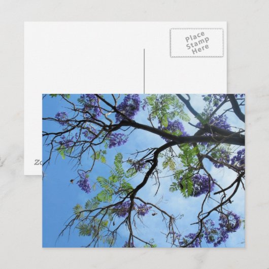 紫の花 ポストカード (正面/裏面)