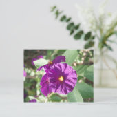 紫の花 ポストカード (スタンド正面)
