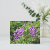 紫の花 ポストカード (スタンド正面)