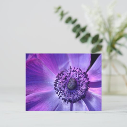 紫の花 ポストカード (スタンド正面)