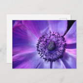 紫の花 ポストカード (正面/裏面)