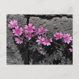 紫の花 ポストカード