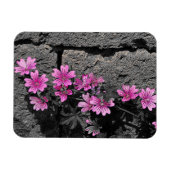 紫の花 マグネット (横)