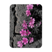 紫の花 マグネット (縦)