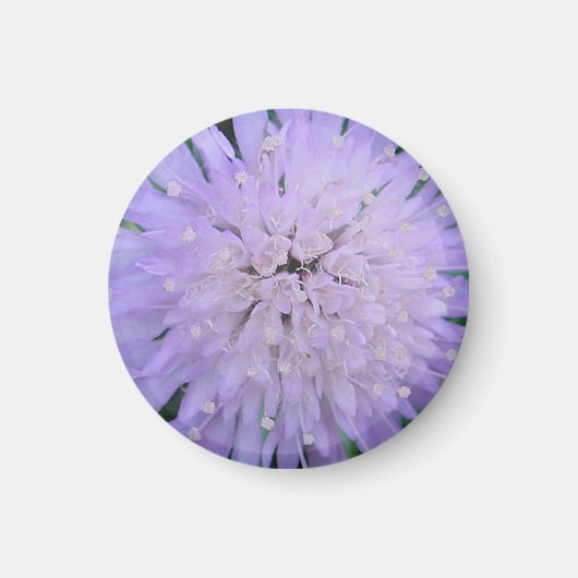 紫の花 マグネット (正面)