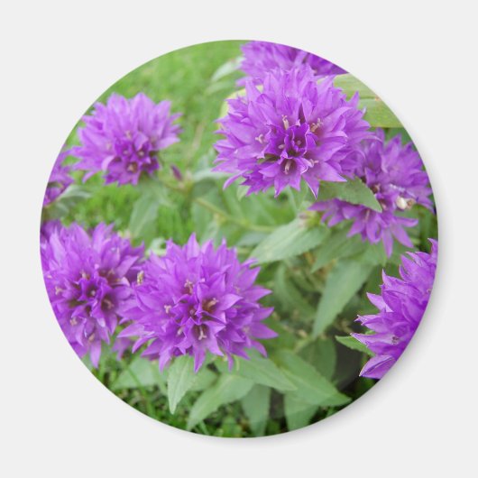 紫の花 マグネット (正面)