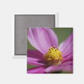 紫の花 マグネット (正面/裏面)