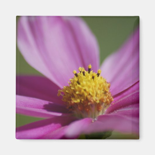 紫の花 マグネット (正面)