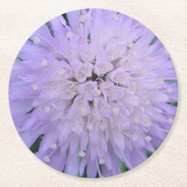 紫の花 ラウンドペーパーコースター