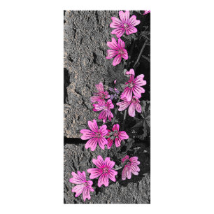 紫の花 ラックカード