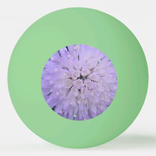 紫の花 卓球ボール (正面)