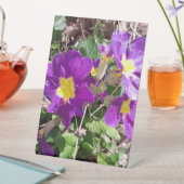 紫の花 台座サイン (インサイチュ)