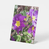 紫の花 台座サイン (正面)