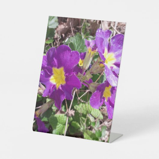 紫の花 台座サイン (正面)