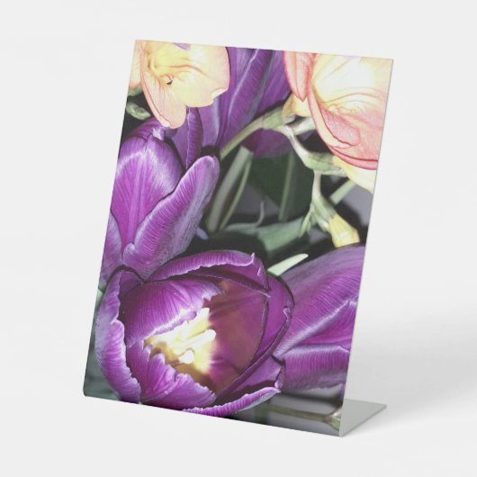 紫の花 台座サイン (正面)