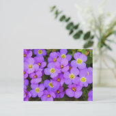 紫の花 平和 愛 運命 ポストカード (スタンド正面)