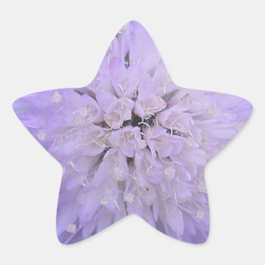 紫の花 星シール (正面)