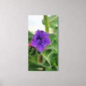 紫の花 春の植物コレクション キャンバスプリント (正面)