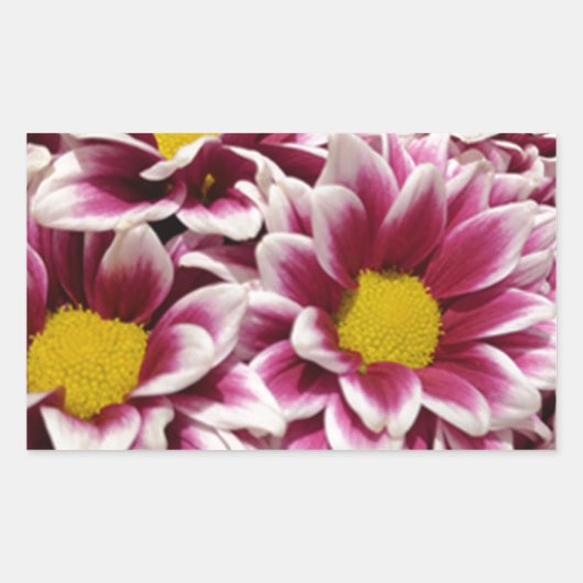 紫の花 長方形シール (正面)