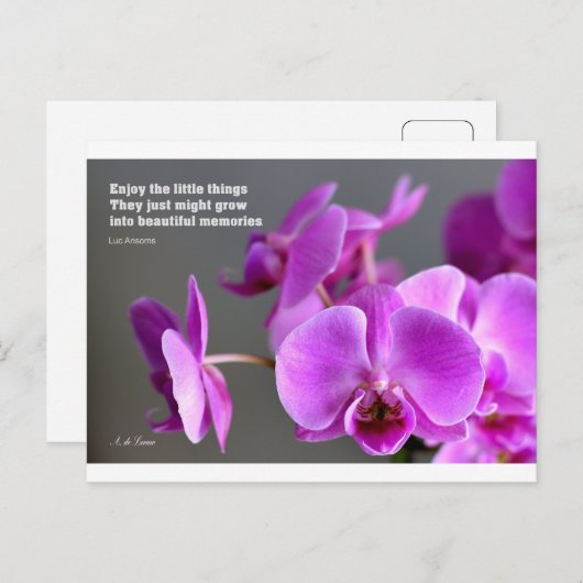 紫の薄紫のオーキッド感動的引用文 ポストカード (正面/裏面)