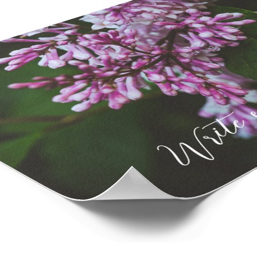 紫の薄紫の花は雨の後 ポスター (角)