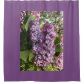 紫の薄紫シャワーカーテン シャワーカーテン (正面)