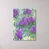 紫の薄紫バイカーギル, 1937 キャンバスプリント (正面)