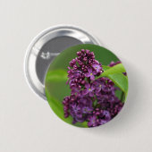 紫の薄紫ボタン 缶バッジ (正面&裏面)