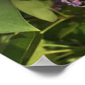 紫の薄紫ポスター ポスター (角)