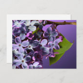 紫の薄紫写真結婚式の日付を保存 案内ポストカード (正面/裏面)