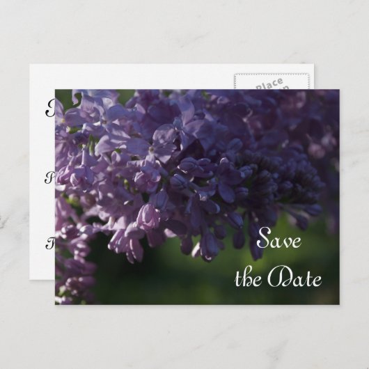 紫の薄紫花結婚式の日付を保存 案内ポストカード (正面/裏面)