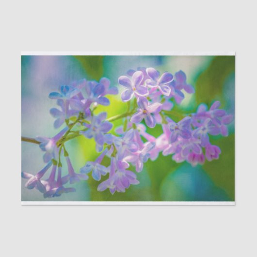 紫の薄紫 薄葉紙 (正面)