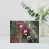 紫の蘭の写真植物画 ポストカード (スタンド正面)